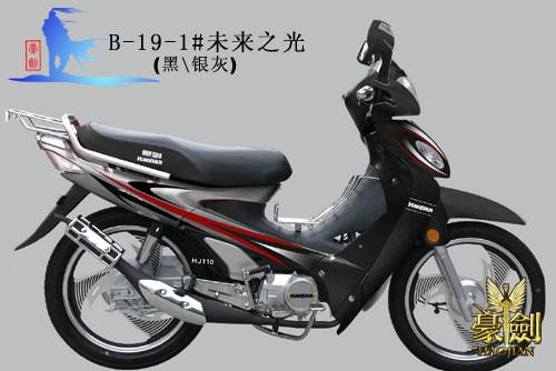 亞洲豹配置圖片