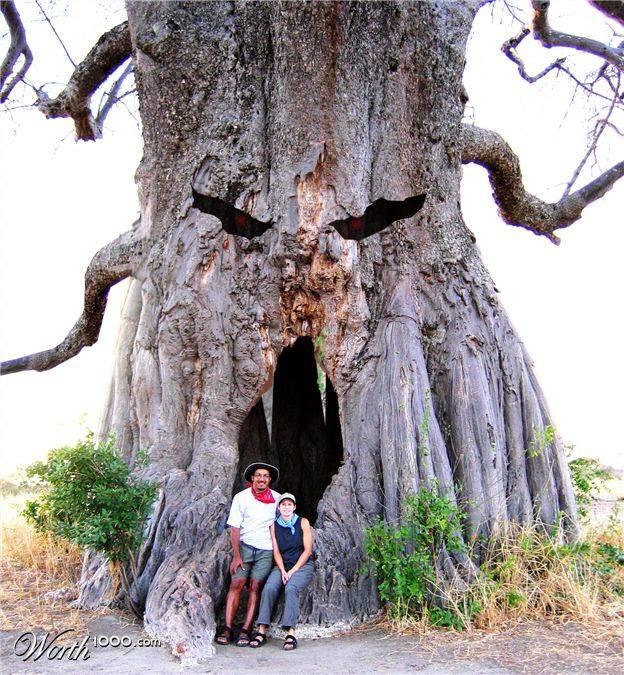 供應(yīng)九寨溝旅游包車(chē)價(jià)格便宜