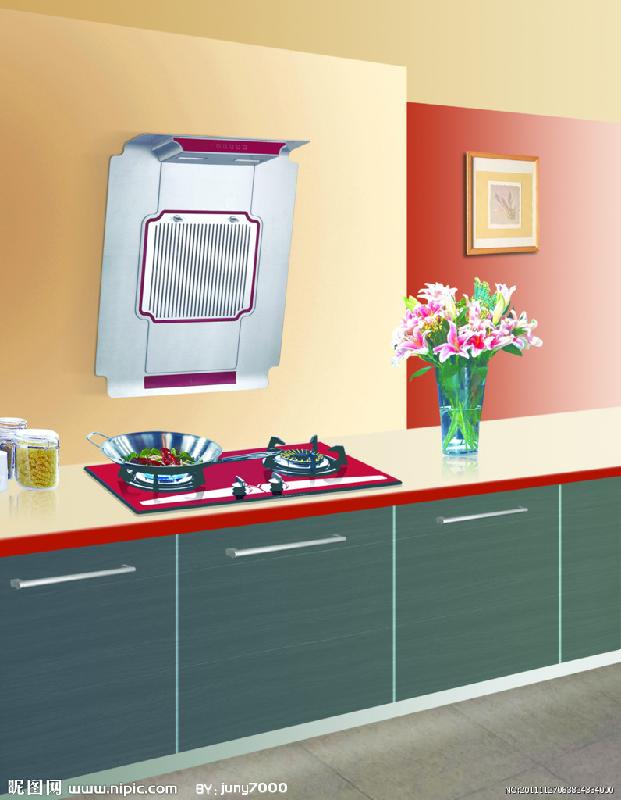 供應(yīng)武漢洪山燃?xì)庠罹S修