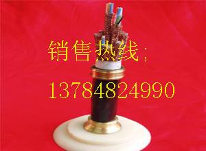 礦用通信電纜MHYV專業(yè)生產(chǎn)圖片