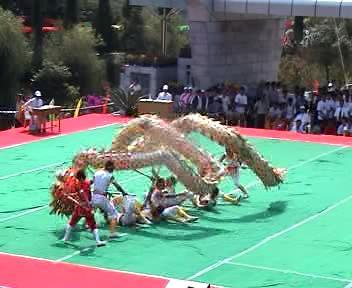 供應(yīng)貴州貴陽*舞龍舞獅演出多少錢