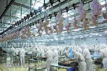 供應(yīng)熱電肥聯(lián)產(chǎn)沼氣工程技術(shù)特點(diǎn)