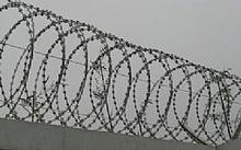 *刺網(wǎng)護欄網(wǎng) 防盜網(wǎng)