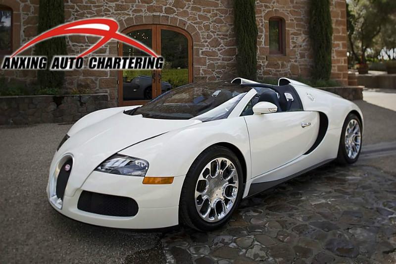 供應天津租布加迪婚車