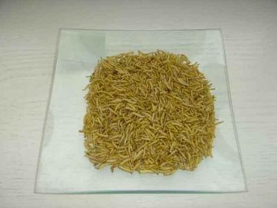 干蠅蛆/無菌/低溫烘干/純麥麩養(yǎng)