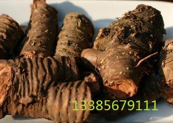 供應(yīng)銀杏葉羅布麻紅景天批發(fā)