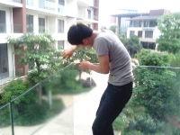 供應(yīng)隔熱膜防爆安全膜防曬建筑膜