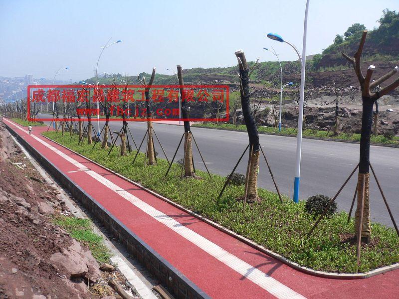 成都透水樹池南充綿陽透水壓花地坪圖片/成都透水樹池南充綿陽透水壓花地坪樣板圖 (4)