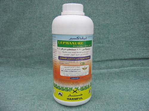 東莞白蟻防治公司電話圖片