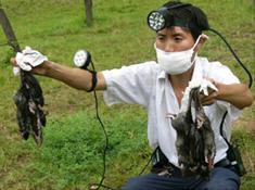 除四害公司電話 四害防治公司價(jià)格 四害防治廠家