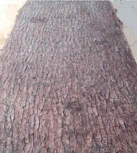 供應(yīng)水泥發(fā)泡仿真樹皮