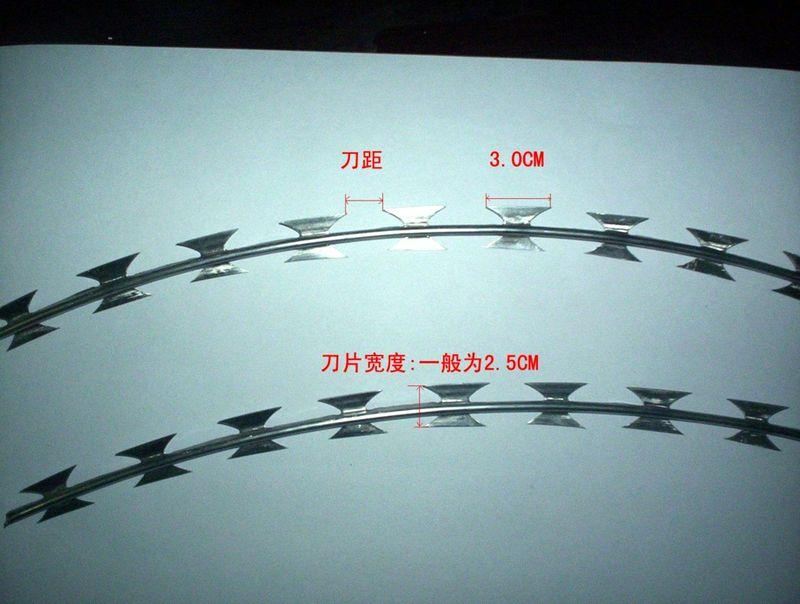 衡水市篱笆型刀片刺网/焊接刀片刺网/刺绳厂家
