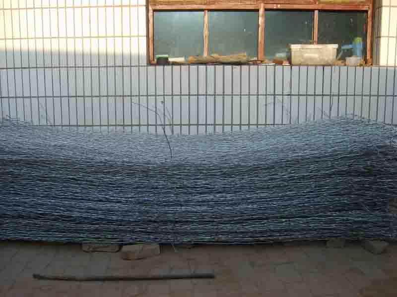 供應(yīng)徑緯網(wǎng)網(wǎng)片2徑緯網(wǎng)