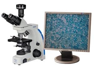 生物顯微鏡圖片