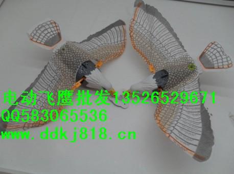 供應(yīng)強大動力電動飛鷹，有音樂有燈光電動吊線飛鷹價格，生產(chǎn)電動*廠