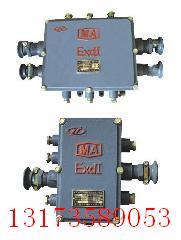 供应本安型接线盒JHH矿用本安电路用接线盒（10对20对）