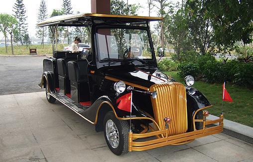 通化市電動老爺車8座進口配置圖片