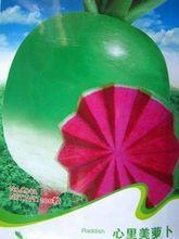 供應東北紅蘿卜功效如何