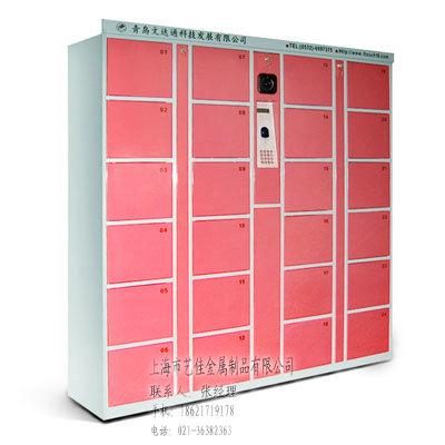 大量生產(chǎn)銷售揚(yáng)州存包柜/電子存包柜/密碼存包柜/投幣存包柜/