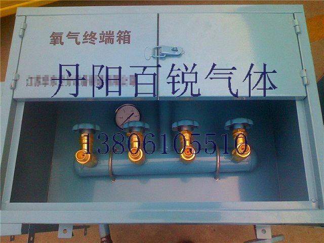 《供應(yīng)氧氣點閥箱》《丹陽氧氣點閥箱生產(chǎn)廠家》《氣體點閥箱新報價》