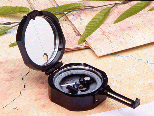 供應(yīng)DQL-11型地質(zhì)羅盤儀DQL11型地質(zhì)羅盤儀