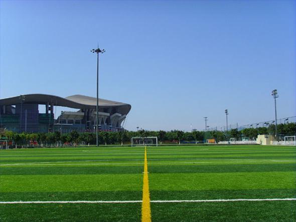 門球場人造草坪圖片/門球場人造草坪樣板圖 (2)