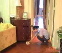 供應(yīng)上海閔行區(qū)春申保潔公司空調(diào)維修開荒保潔清洗地毯