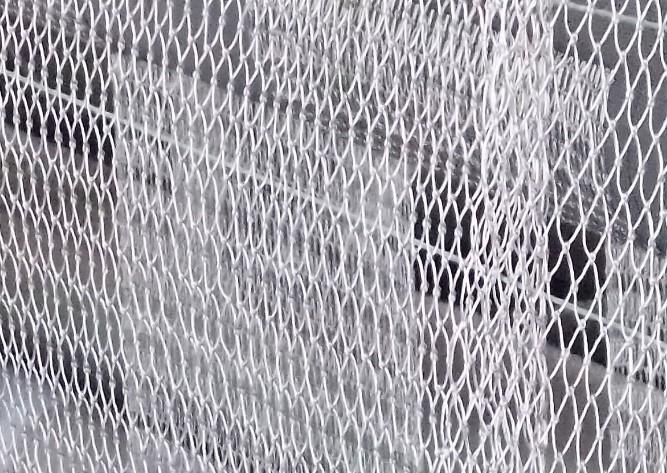 供應(yīng)專業(yè)玉米芯袋