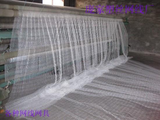 防鳥網(wǎng)圖片價(jià)格圖片/防鳥網(wǎng)圖片價(jià)格樣板圖 (4)