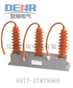 供應TBP-B-42F/310戶內(nèi)型過電壓保護器
