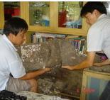 供應(yīng)東莞白蟻防治案例圖片