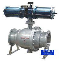 供應(yīng)DYQ340Y上海上裝式偏心半球閥-上海電立閥門