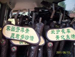 供應(yīng)玻璃鋼草地牌大全