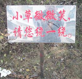 草地牌圖片/草地牌樣板圖 (3)