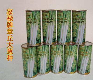 供應(yīng)山東大蔥種子自主品牌家祿牌高產(chǎn)新品種 家祿三號(hào) 抗重茬抗霜抗倒章丘大蔥種子