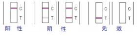 瘦肉精-莱克多巴胺速测卡5片装图片