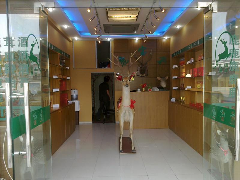 供應(yīng)2012梅花鹿