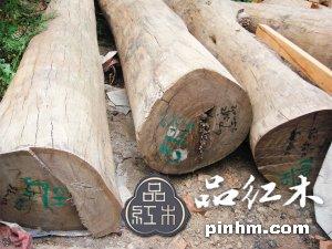 喀麥隆巴花進(jìn)口報(bào)關(guān)手續(xù)、喀麥隆巴花進(jìn)口代理、巴花進(jìn)口報(bào)關(guān)