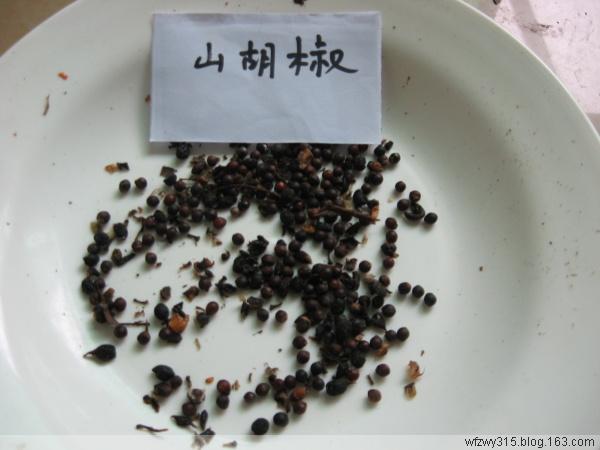 供應(yīng)山胡椒種子