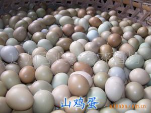 供應(yīng)蘇州山雞苗養(yǎng)殖場(chǎng)