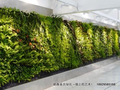 稻森法植物墻在廣東廣州花城廣場圖片