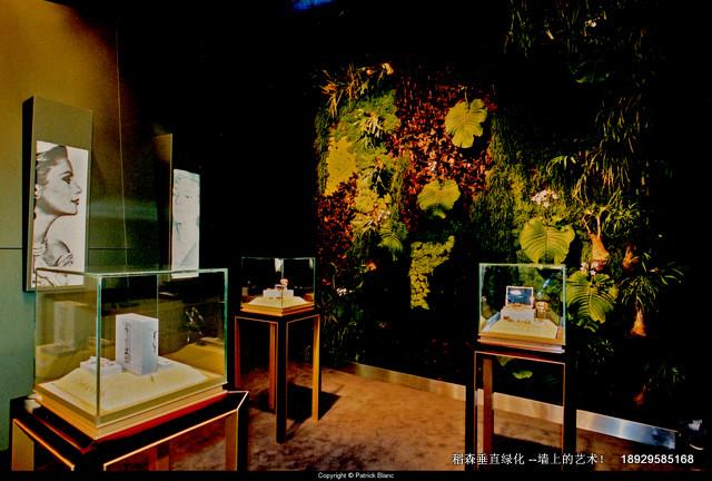 垂直綠化植物墻采用無土栽培技術(shù)