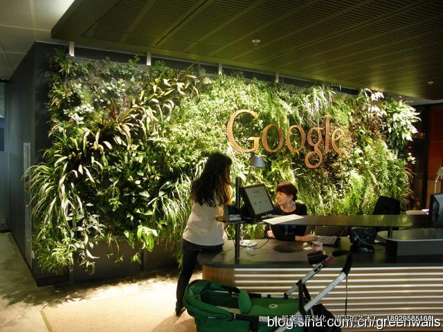 植物墻圖片/植物墻樣板圖 (2)