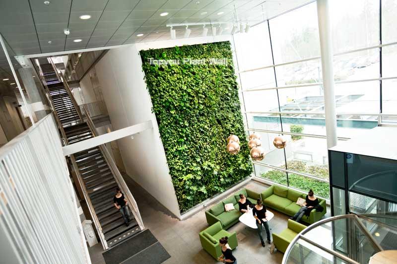 香港綠牆與廣州稻森綠墻