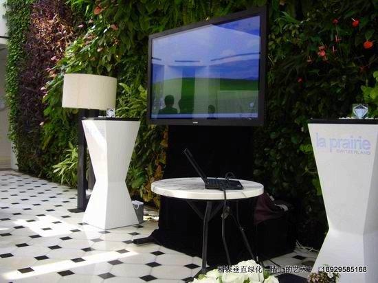 稻森垂直綠化-墻上的藝術(shù)！稻森垂直綠化墻上的藝術(shù)