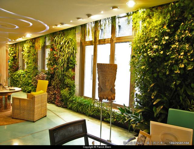 立體綠化植物墻