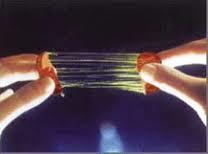 樂陵聞名紅棗購銷中心專業(yè)供應(yīng)富硒金絲小棗