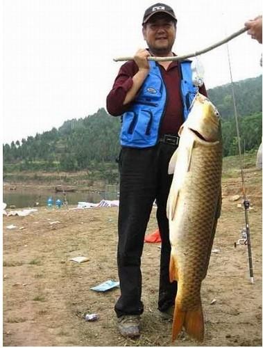 供應(yīng)電子誘魚器水下燈光誘魚器捕撈集魚