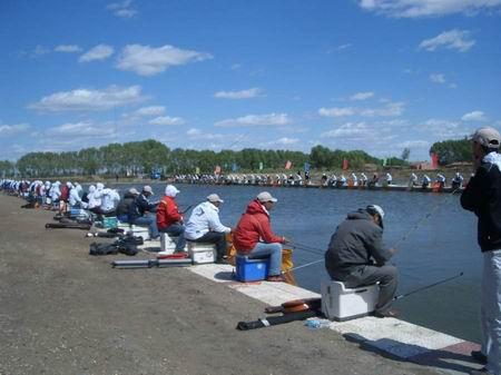 誘魚(yú)圖片/誘魚(yú)樣板圖 (3)