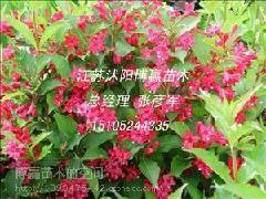 供應(yīng)浙江海桐